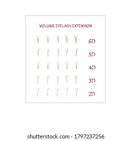 volume eyelash extension, vector image