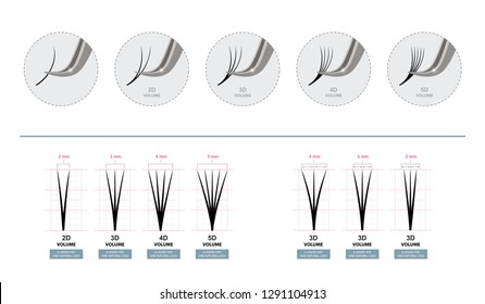 Volume Eyelash Extensions. Artificial Lashes. Master of Eyelash Extensions works with Tweezers. Vector Illustration. Template for Makeup and Cosmetic Procedures. Training poster. Guide