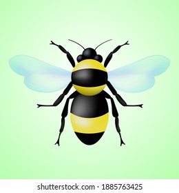 Volumetric 3D bee isolated on background. Vector illustration