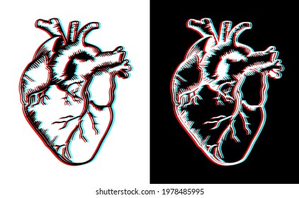 volumetric drawing of a human heart