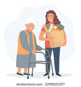 A volunteer helps an elderly woman with a walker carry groceries. Vector graphics.