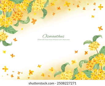 Volunteer illustration of osmanthus painted in watercolor decorative material