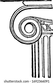 Volute of the Ionic Capital,  spiral scroll used in Ionic, vintage engraving.