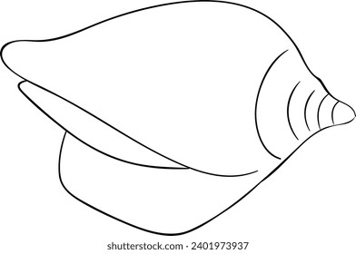 The Volute Shell Blck and White Vector Line Art