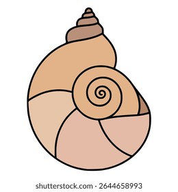 Volute shell marine sea life nature flat color vector illustration template design
