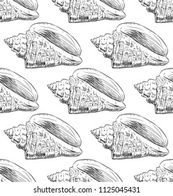 Volutidae, common name volutes, are a taxonomic family of predatory sea snails. Sketch black contour isolated on white background. Can be used for fabrics, wallpapers. Vector