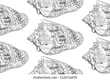 Volutidae, common name volutes, are a taxonomic family of predatory sea snails.  Sketch black contour isolated on white background. Can be used for fabrics, wallpapers. Vector