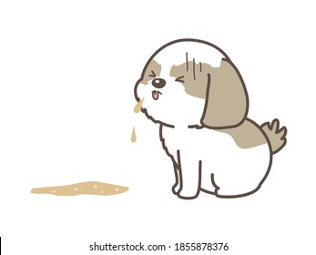 Vomiting Dog. Unwell Dog. White Background. Shih Tzu.