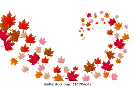 a vortex of autumn leaves