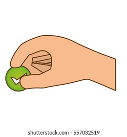 vote related icons image vector illustration design 