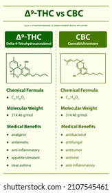 ∆9-THC vs CBC, Delta 9 Tetrahydrocannabinol vs Cannabichromene vertical infographic illustration about cannabis as herbal alternative medicine and chemical therapy, healthcare medical science vector.