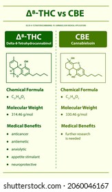 ∆8-THC vs CBE, Delta 8 Tetrahydrocannabinol vs Cannabielsoin vertical infographic illustration about cannabis as herbal alternative medicine and chemical therapy, healthcare and medical science vector