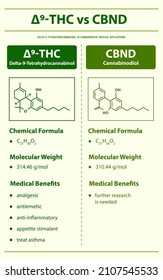 funktional-9-THC vs. CBND, Delta 9 Tetrahydrocannabinol vs. Cannabinodiol vertikale Infografik über Cannabis als pflanzliche alternative Medizin und chemische Therapie, medizinisch-wissenschaftliche Vektorgrafik.