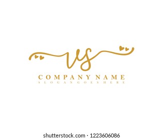 VS Initial handwriting logo vector