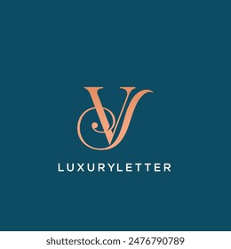 VS logo initial luxury design