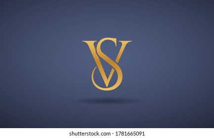 VS SV Logo Design Vector Icon Symbol