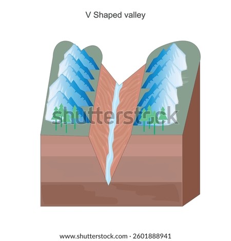 A V-shaped valley is a steep-sided valley formed by river erosion over time, creating a narrow, deep profile resembling the letter V, common in youthful river stages.