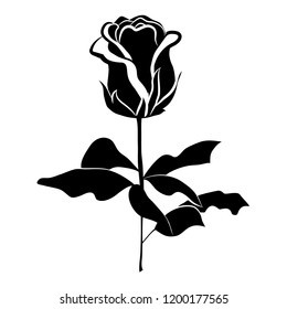 Vtctor of roses silphouette.Black and white graphic