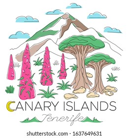 Vulcano Teide, drago trees and Tajinaste flowers on Tenerife, Canary Islands, Spain. Landscape illustration with editable stroke 