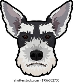 Vulnerable native breed vector illustration 