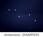 Vulpecula constellation in night sky