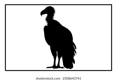 vultur silhouette set design, silhouette of a flying vulture.