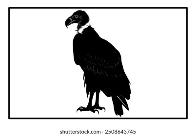 vultur silhouette set design, silhouette of a flying vulture.