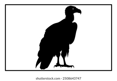 vultur silhouette set design, silhouette of a flying vulture.