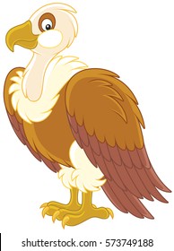 Vulture