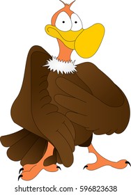 Vulture