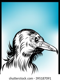 Vulture,
Vulture, All elements are in separate layers color can be changed easily 