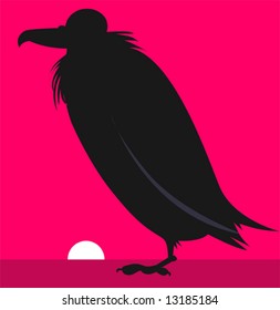 vulture in background of sun	