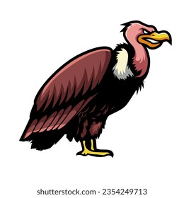 Vulture Bird Animal Wild Animal Vector illustration