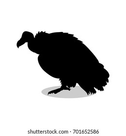 Vulture bird black silhouette animal. Vector Illustrator.