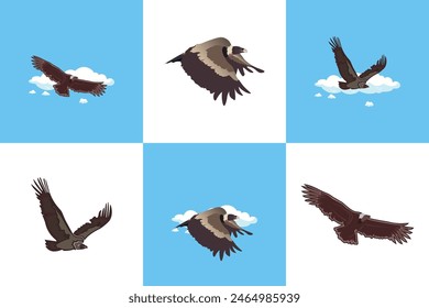 Vulture Bird Design Collection Template