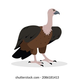 Vulture bird icon isolated on white background. Nature, birdwatching and ornithology design. Vector cartoon or flat illustration.