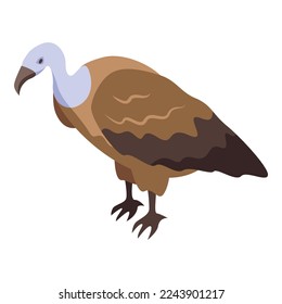 Vulture bird icon isometric vector. Animal condor. Mascot shape