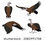 Vulture bird icons set. Flying and sitting Vultures birds in different poses isolated on white background. Nature, birdwatching and ornithology design. Vector cartoon or flat illustration.