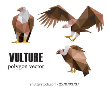 Vulture Bird in polygonal vector illustration Set. Low Poly abstract vector of Vulture. Flying vulture bird abstract Illustration for kids animal book.