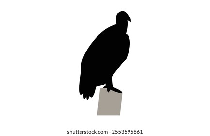 Vulture Bird Silhouette Design  And Vector Illustration. 