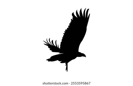 Vulture Bird Silhouette Design  And Vector Illustration. 