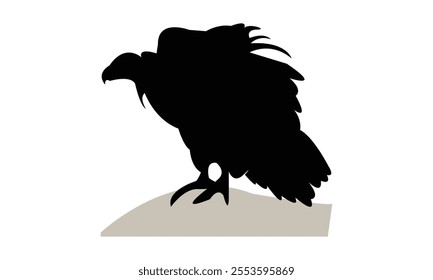 Vulture Bird Silhouette Design  And Vector Illustration. 