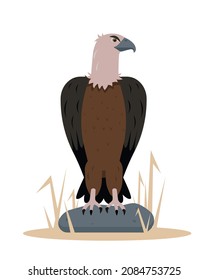 Vulture bird sitting on stone. Nature, birdwatching and ornithology design. Vector cartoon or flat illustration.