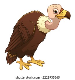 Vulture Cartoon Animal Illustration Color