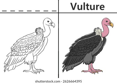 Vulture coloring pages for kids and learn to recognize letters, animal recognition cards media for various games in early childhood learning