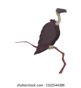 Vulture with grey neck sitting on tree branch flat vector illustration