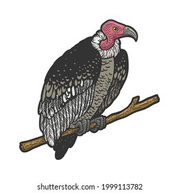 vulture griffin bird color line art sketch engraving vector illustration. T-shirt apparel print design. Scratch board imitation. Black and white hand drawn image.