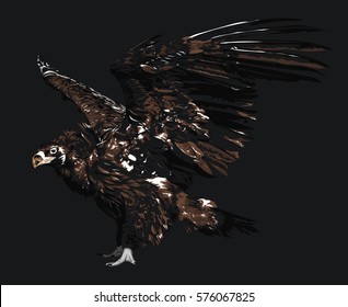 Vulture - Gyps vector art - High Quality, Detailed Realistic Illustration of Bird Isolated on white - Bird of Prey - Hand Drawn Vector