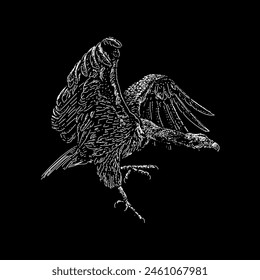 vulture hand drawing vector isolated on black background.