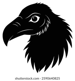 Vulture Head Silhouette Vector Art and Vulture Black Color Design